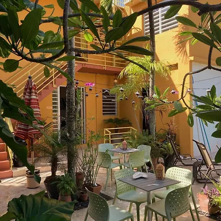 Casa de Amistad Guesthouse-3